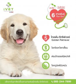 Be cautious! With the most infected diseases from 6 different dog breeds
